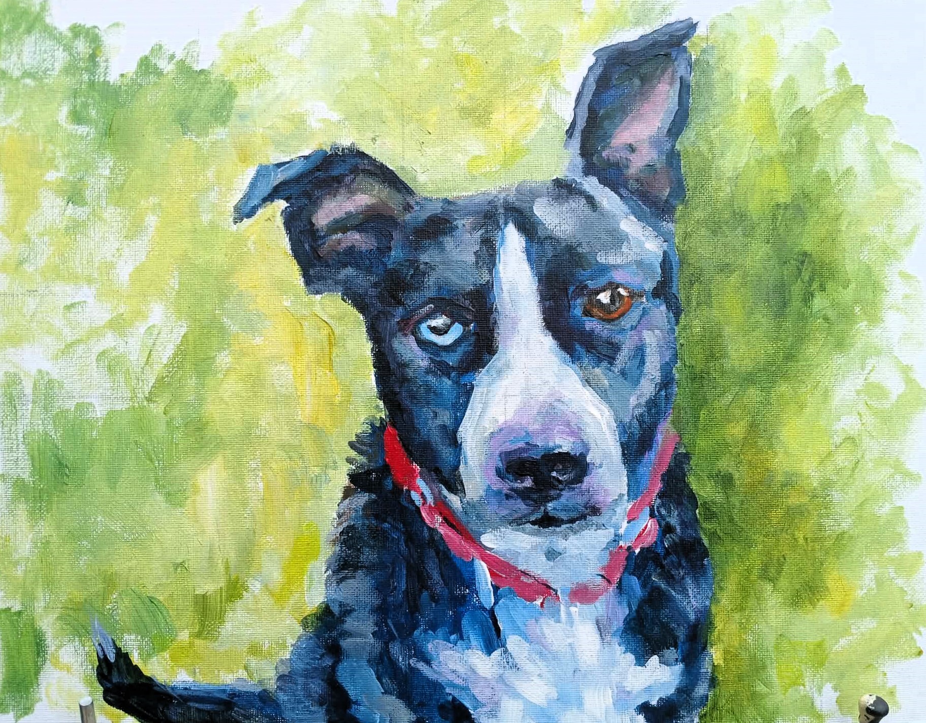 Dog 1