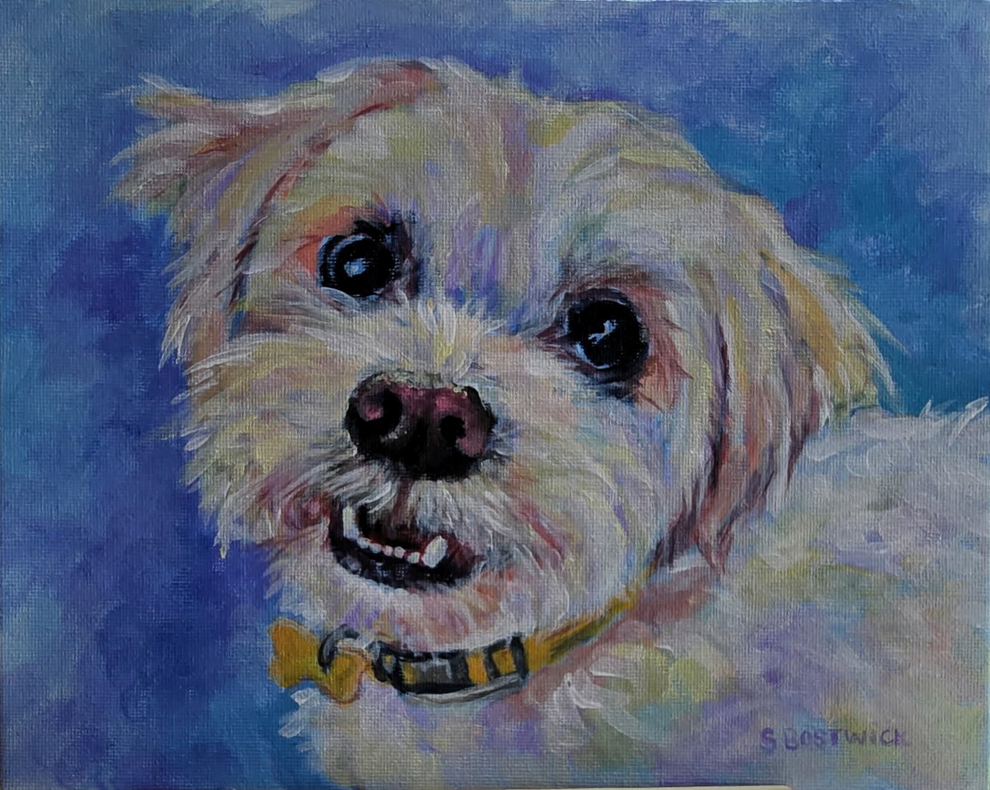 White Dog